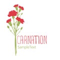 Carnation flowers. Logo design. Text hand drawn.