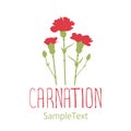 Carnation flowers. Logo design. Text hand drawn.