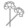 Carnation icon, outline style