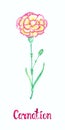 Carnation purple-yellow striped flower with bud isolated on white hand painted watercolor illustration