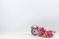carnation red flowers red alarm clock white wooden surface. High quality photo