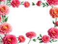 carnation, rose, mother's day, flower, frame, material, background, gift, appreciation, present, mother, mother, bouquet,