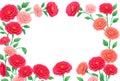 carnation, rose, mother's day, flower, frame, material, background, gift, appreciation, present, mother, mother, bouquet,