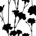 Carnation silhouettes pattern
