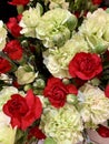 Carnations close up Royalty Free Stock Photo