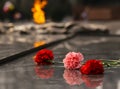 Carnations flowers on the monument of eternal fire - Victory Day