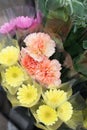 Carnations and gerberas on sale