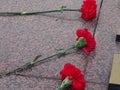 Carnations at the memorial memory