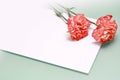 Carnations and a note