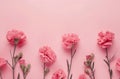 carnations on a pink background rose Royalty Free Stock Photo