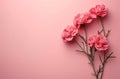 carnations on a pink background rose Royalty Free Stock Photo