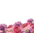 Carnations and roses border