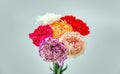 Carnations. Stunning Pink Peonies, Yellow Carnations And Roses. Gift, Elegance.