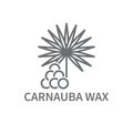 Carnauba Wax Line Icon Royalty Free Stock Photo