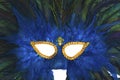 Carnaval Mask Close-Up Royalty Free Stock Photo