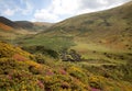 Carneddau Mountain Range Royalty Free Stock Photo