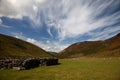 Carneddau Snowdonia Royalty Free Stock Photo