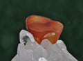 Carnelian on rock crystal Royalty Free Stock Photo