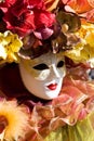 Carneval mask Royalty Free Stock Photo