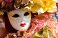 Carneval mask Royalty Free Stock Photo