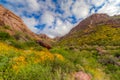 Carney Springs Trail is located in the remote area of the Superstition Mountain Wilderness. Royalty Free Stock Photo