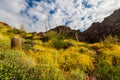 Carney Springs Trail is located in the remote area of the Superstition Mountain Wilderness.