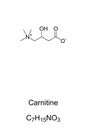 Carnitine chemical formula and skeletal structure