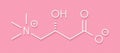 Carnitine food supplement molecule, chemical structure Skeletal formula.