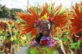 Crucian Christmas Carnival Parade USVI Royalty Free Stock Photo