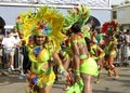 St. Croix Christmas parade