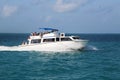 Carnival Conquest Cruise Ship passengers using tender to go ashore near Belize City Royalty Free Stock Photo