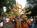 Carnival costumes