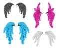 Carnival feather wings vector