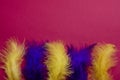 Carnival. Festive background with copy space. Yellow and blue feathers on a red background. Mardi Gras. Brazilian
