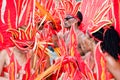 Carnival flames Royalty Free Stock Photo