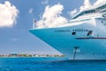 Carnival Freedom Royalty Free Stock Photo