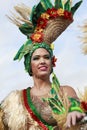 SANTA CRUZ DE TENERIFE, CANARY ISLANDS - circa FEBRUARY 2018: Carnival groups and costumed characters, parade through the streets Royalty Free Stock Photo