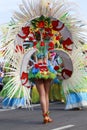 Carnival groups and costumed characters, parade through the streets of the city of Santa Cruz de Tenerife Royalty Free Stock Photo