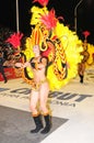 Carnival gualeguaychu 2008