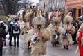 Carnival in Ljubljana