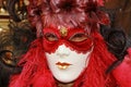 Carnival mask Royalty Free Stock Photo