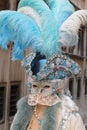 Carnival mask Royalty Free Stock Photo