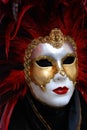 Carnival mask Royalty Free Stock Photo