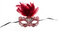 Carnival mask red color with feather isolated on a white background Royalty Free Stock Photo