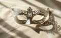 Carnival mask with shadow on a white wall Royalty Free Stock Photo