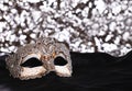 Carnival mask Royalty Free Stock Photo