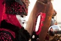 Carnival mask in Venice Royalty Free Stock Photo
