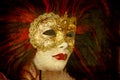 Carnival mask - Venice Royalty Free Stock Photo