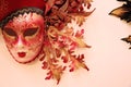 Carnival Mask, Venice, Italy Royalty Free Stock Photo