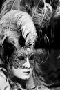 Carnival Mask, Venice Royalty Free Stock Photo